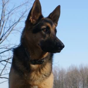 Meet your Posher, Marcos